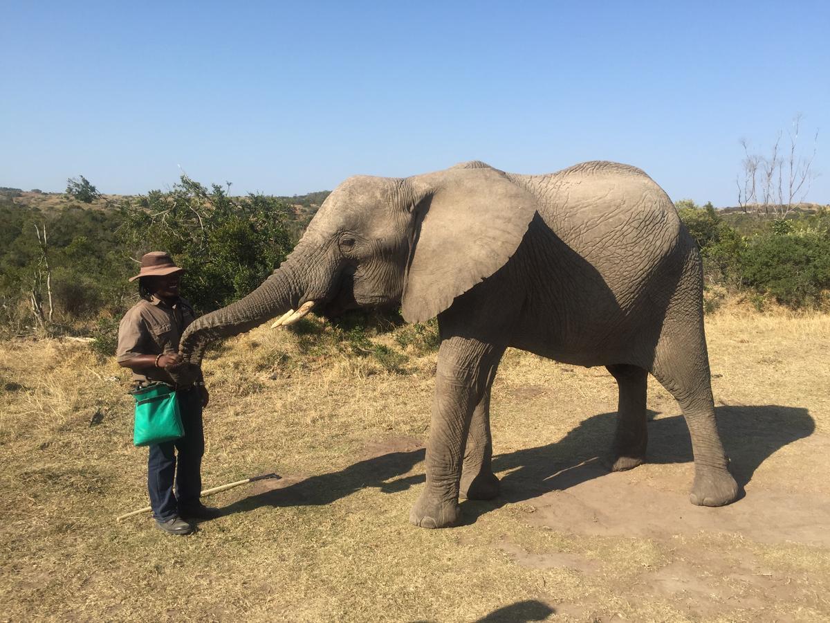 African Crags Eco-Lodge The Crags 外观 照片