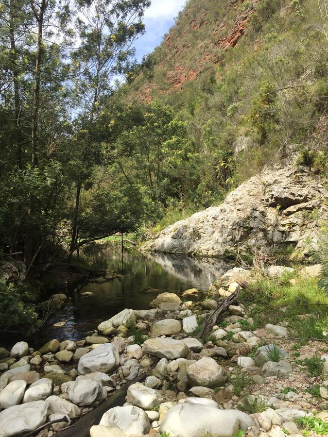 African Crags Eco-Lodge The Crags 外观 照片