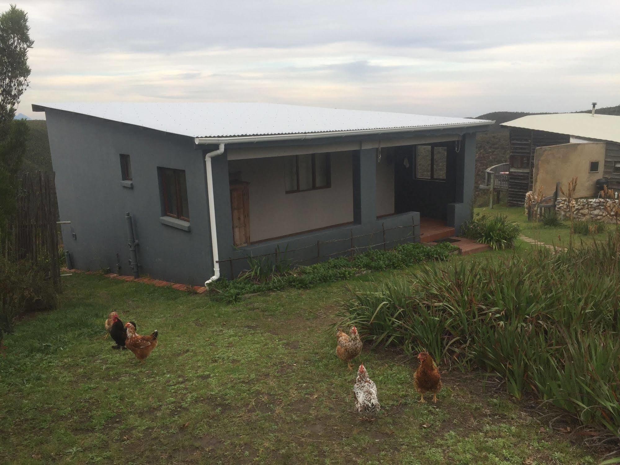 African Crags Eco-Lodge The Crags 外观 照片